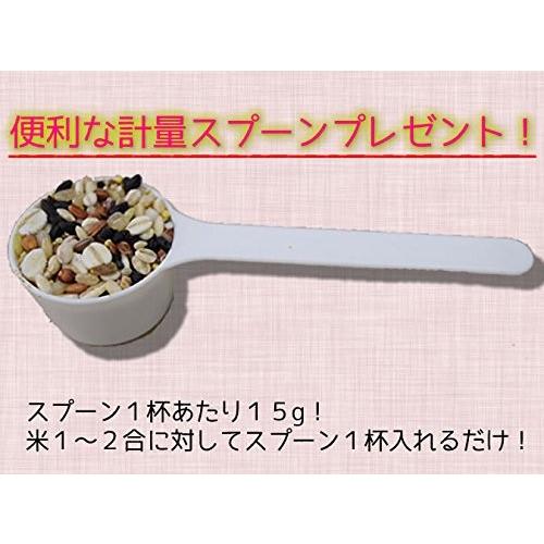 エスパワー おがる おいしい十八穀米 500g