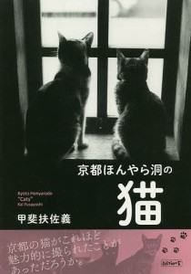 京都ほんやら洞の猫