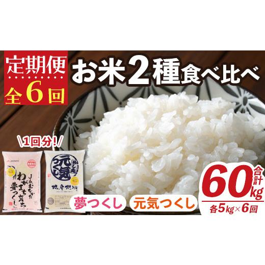 ふるさと納税 福岡県 春日市 ＜定期便・全6回(連続)＞米食べ比べ 夢つくし＆元気つくし(総量60kg・各5kg×6回) 