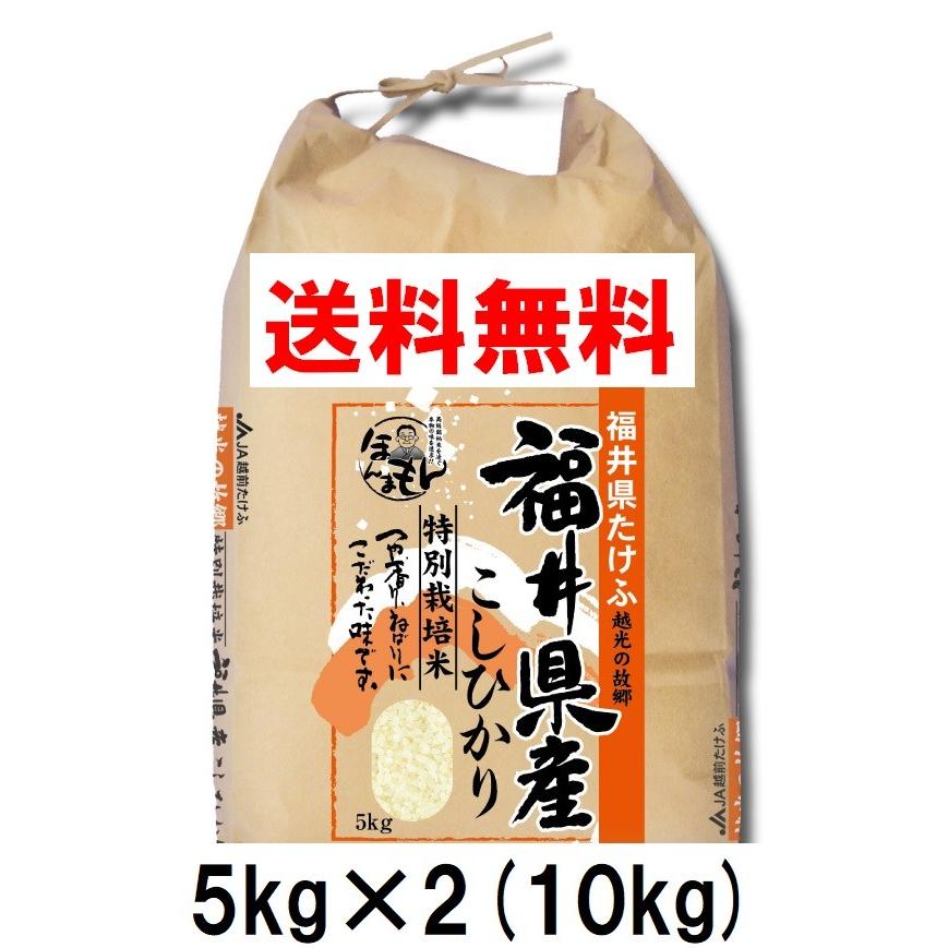 お米 10kg 5kg×2  福井県武生コシヒカリ 令和4年産 新米 送料無料