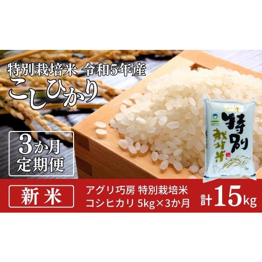 ふるさと納税 新潟県 三条市 [定期便5kg×3ヶ月] 特別栽培米 コシヒカリ5kg 新潟県認証 新潟県三条市産 こしひかり 3か月連続でお届け