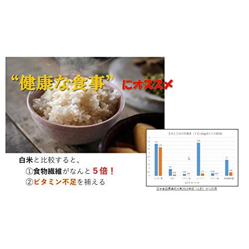 米 お米 ５ｋｇ 凄い玄米 くまモン ひのひかり 熊本県産 令和４年産