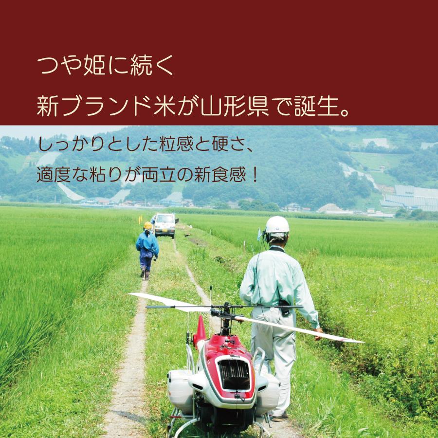 白米 令和４年産 雪若丸 ５kg 山形県産 送料無料 国産 ギフト お米 お取り寄せ お試し 御中元 お中元 御歳暮 敬老の日 御礼 誕生祝い 御祝 返礼品