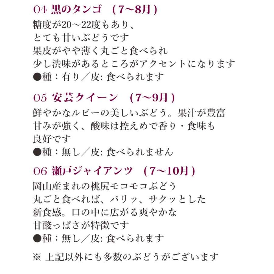 お中元 ぶどうの宝石箱 ヴェレゾンボヌール 3個 贈り物 送料無料 岡山 葡萄 シャインマスカット ピオーネ 桃太郎ぶどう 果物