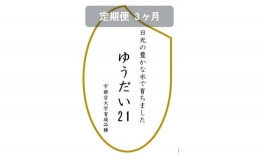 令和5年産　ゆうだい21　玄米10kg（5kg×2袋）