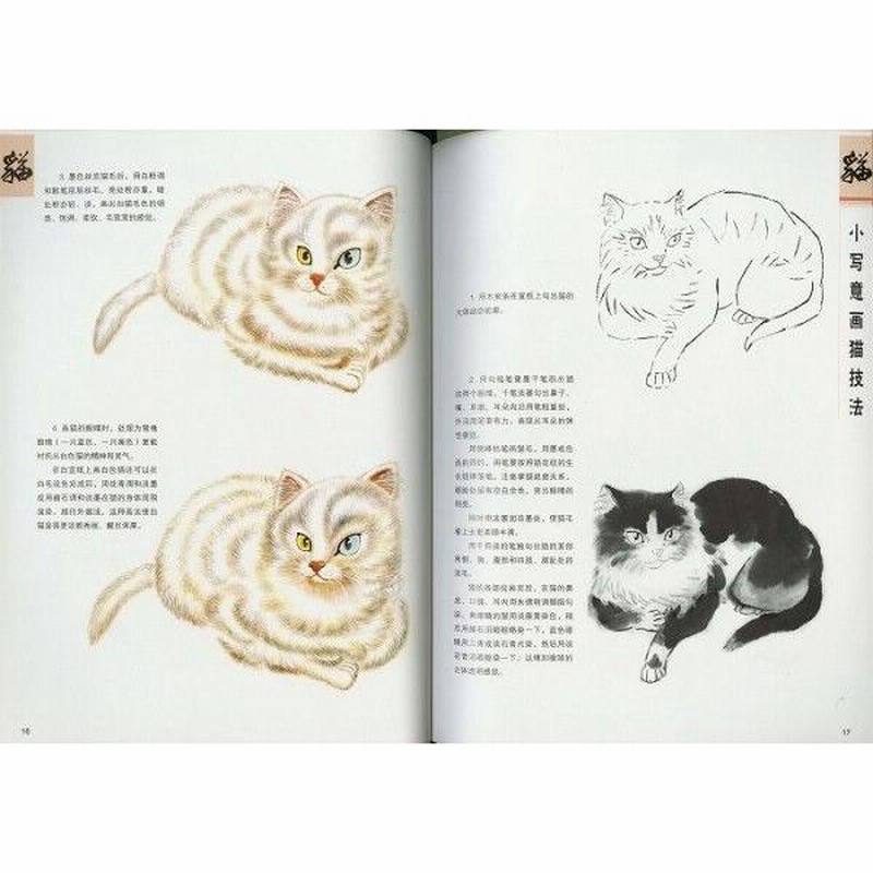 水墨画 / 水墨画集 / 中国画集 / 墨彩画 / 絵手紙 / 日本画