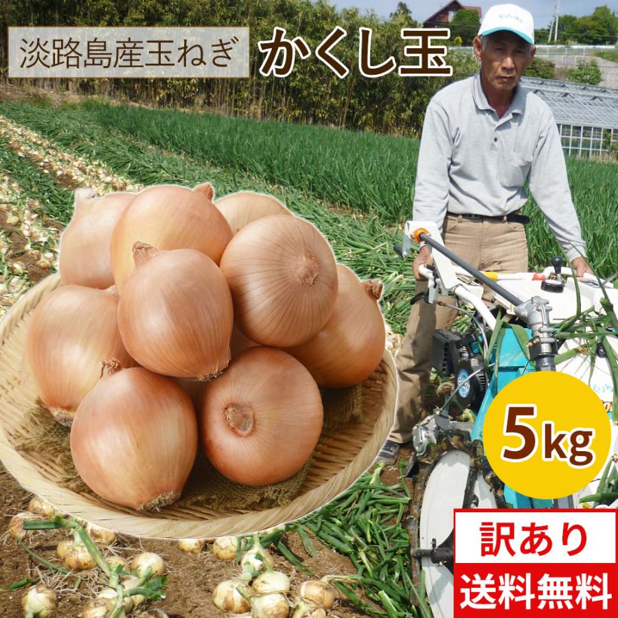 玉ねぎ 5kg 訳あり 淡路島 減農薬 有機肥料栽培 かくし玉 今井ファ−ム たまねぎ タマネギ 玉葱 ＃かくし玉訳あり5Ｋ＃