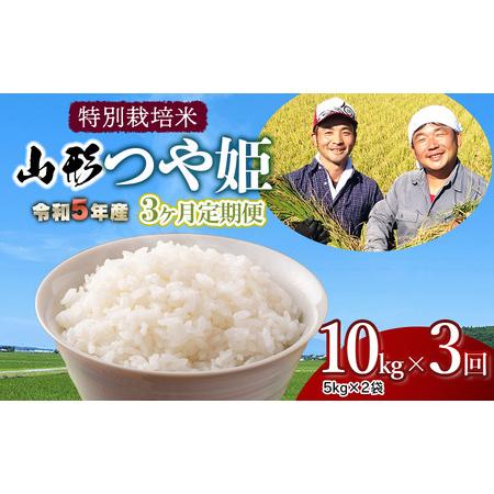 ふるさと納税 令和5年産 新米 特別栽培米 山形つや姫 定期便 精米10kg（5kg×2袋）×3ヶ月 鶴岡ファーマーズ 山形県鶴岡市