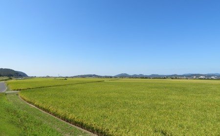 新米 「 ヒノヒカリ 」 玄米 30kg（精米用） 岡山県産