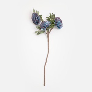 Flora芙蘿拉花插多瓣菊82cm 藍