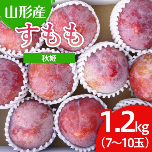 山形市産 すもも(秋姫) 1.2kg(7～10玉） FU22-026