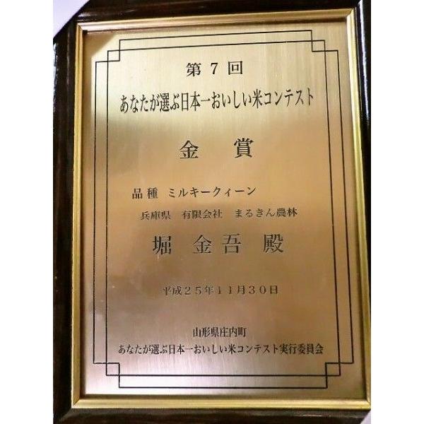 玄米 新米 10kg ミルキークイーン（5kg×2袋）ダイエット食事 健康生活 お米マイスター厳選 兵庫県産 令和5年産