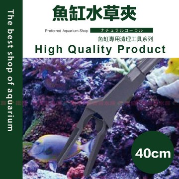 魚寶貝【魚缸整理夾／40cm】✨魚缸整理 懶人必備〞水草工具 水草缸 水族用品 魚缸造景 水草造景 水草佈景 水族造景