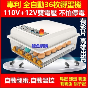 高雄現貨🛑附發票保固一年110V+12V 36枚全自動孵蛋機 孵蛋器 雞蛋孵化器 鳥蛋 鴨蛋 鵝蛋 蘆丁雞 鸚鵡 鵪鶉