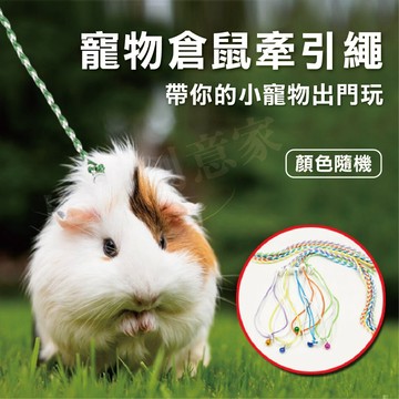 【實體店面現貨】🐹小倉鼠外出牽引繩 小寵物牽繩項圈-鈴鐺外出拉繩-寵物牽繩/鼠牽繩/溜鼠繩/寵物牽繩