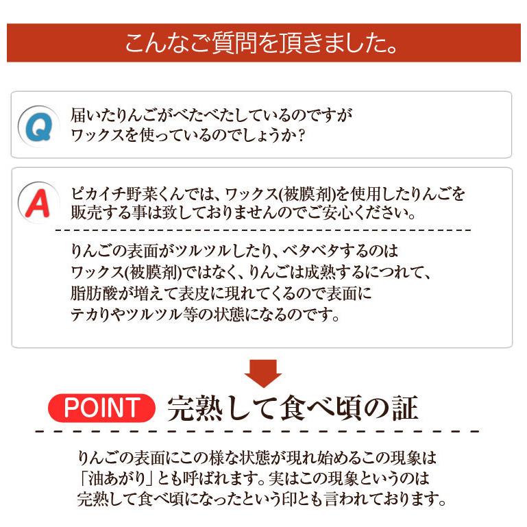 長野県産 りんご 樹上完熟りんご 5kg 特別栽培農産物 減農薬 蜜入り 訳あり ジュース用 ご家庭用 にんじんジュースにも最適