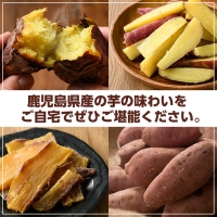 akune-1-12 100日熟成！鹿児島県産紅はるか・焼き芋と蒸しスティック(各500g×各1袋)国産 さつまいも 芋 サツマイモ さつま芋 野菜 菓子 スイーツ1-12