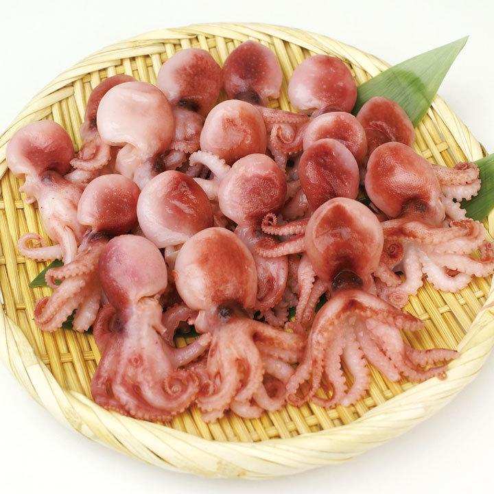 冷凍食品 業務用 ボイルいいだこ(S) 1kg(約50杯入) 10934 蛸 煮物 たこ ボイル