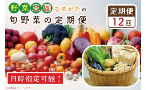 CU-138　野菜王国なめがたの旬野菜の定期便（米入り）