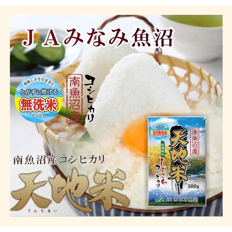 令和５年産 新米 無洗米 10kｇ コシヒカリ 特Ａ地区 魚沼産 新潟県 南魚沼 JAみなみ魚沼農協 天地無洗米 真空パック包装 送料無料