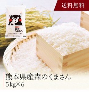 〔 熊本県産 森のくまさん 〕お取り寄せ 送料無料 内祝い 出産内祝い 新築内祝い 快気祝い ギフト 贈り物