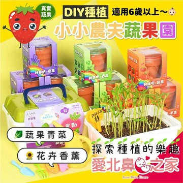 愛北鼻 趣味種植 小小農夫DIY種植 盲盒 花卉蔬果園 青菜花卉種植組 親子DIY 多款可選