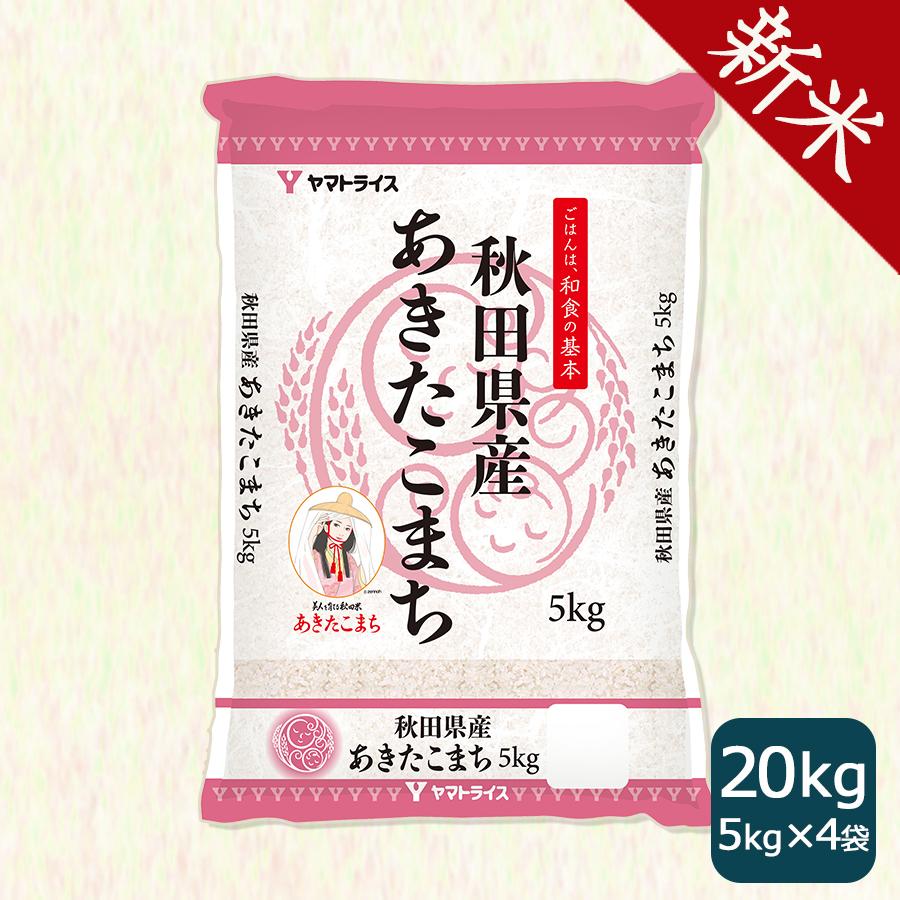 米 お米 20kg あきたこまち 秋田県産 白米 5kg×4 令和5年産