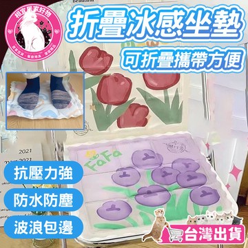 🧊冰涼一整天 透心冰爽🧊卡通冰墊 夏季冰墊  折疊冰墊 冰坐墊 辦公室冰涼墊 凝膠冰墊 夏涼墊 屁墊 夏涼墊 學生冰墊