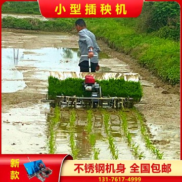 【台灣公司 優質服務】新型水稻插秧機小型手扶式六行使用七寸苗盤種植機水稻10行直播機
