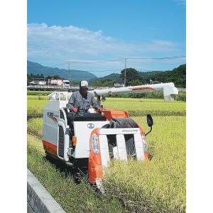 ふるさと納税 R5年度米 武川米コシヒカリ 25kg 山梨県北杜市