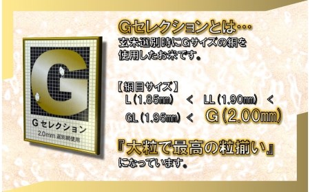 F65-001新米 山形県鶴岡産 Gセレクションはえぬき10kg(5kg×2袋）×6ヶ月 精米