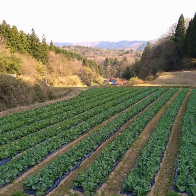 ふるさと納税 浜田市 弥栄町産野菜のおまかせセット