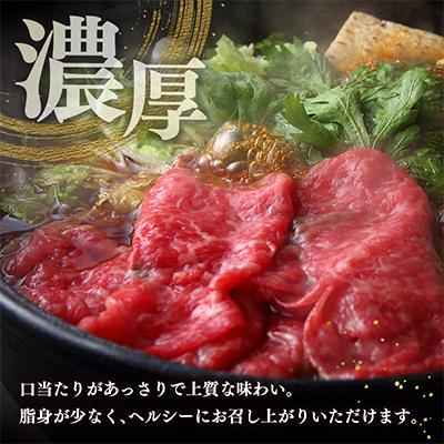 ふるさと納税 新富町 黒毛和牛ひなた　モモスライス　500g