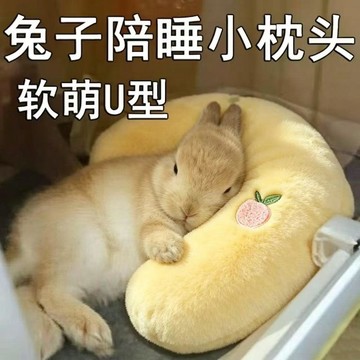 好物省錢鋪 小兔子睡覺枕軟趴墊陪伴解悶玩具耐咬磨牙寵物抱枕侏儒兔兔護頸枕 抱枕 靠枕 二次元 壹灣出貨 長型靠枕 toy