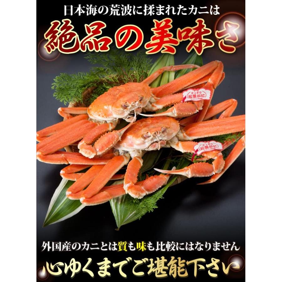 タグ付き松葉ガニ(茹で) 中サイズ2枚で1.2kg前後