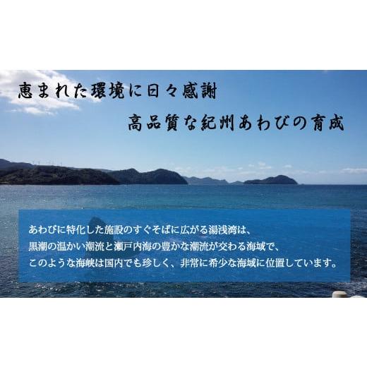 ふるさと納税 和歌山県 北山村 極上！紀州蝦夷鮑×12個　五つ星旅館にも出荷される極上アワビ＜日付指定OK＞