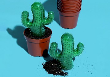 【潔齒仙人掌】陪伴寵物/耐咬解悶玩具