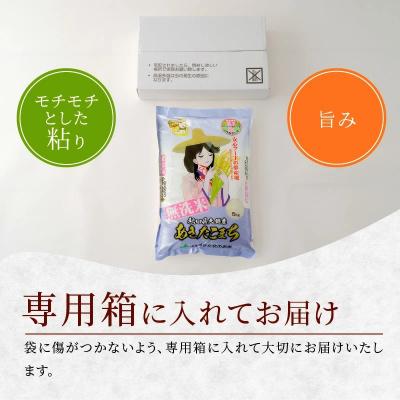 ふるさと納税 大館市 令和5年産秋田県大館産あきたこまち無洗米　5kg(3月〜5月配送)