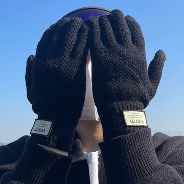 🌈臺灣熱賣🌈西藏旅行手套冬季可觸屏毛線男學生騎行加絨加厚手套保暖防寒護手