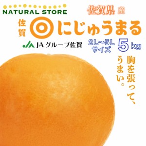 [予約 3月1日-3月31日の納品] にじゅうまるみかん 約 5kg にじゅうまる 柑橘 佐賀産用品 高品位