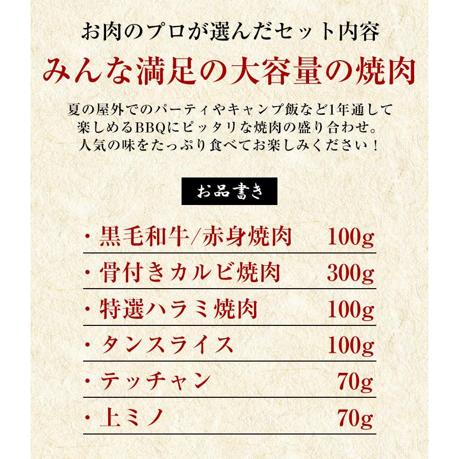 焼肉セット ファミリーセット 送料無料 黒毛和牛 赤身焼肉 骨付きカルビ 特選ハラミ タンスライス テッチャン 上ミノ  740g  焼肉 バーベキュー BBQ BBQセット