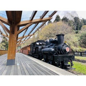 福森號蒸汽火車｜暑期限定．部落茶香．梅園樓二日_26FRSTEAM3
