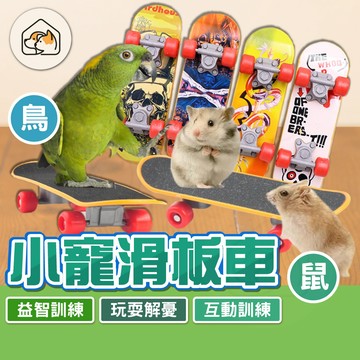 《家有毛孩🐾》迷你滑板 益智訓練 人寵互動 寵物鳥滑板 鸚鵡訓練玩具 鸚鵡滑板 烏龜玩具 滑板玩具 寵物遊玩 鳥玩具