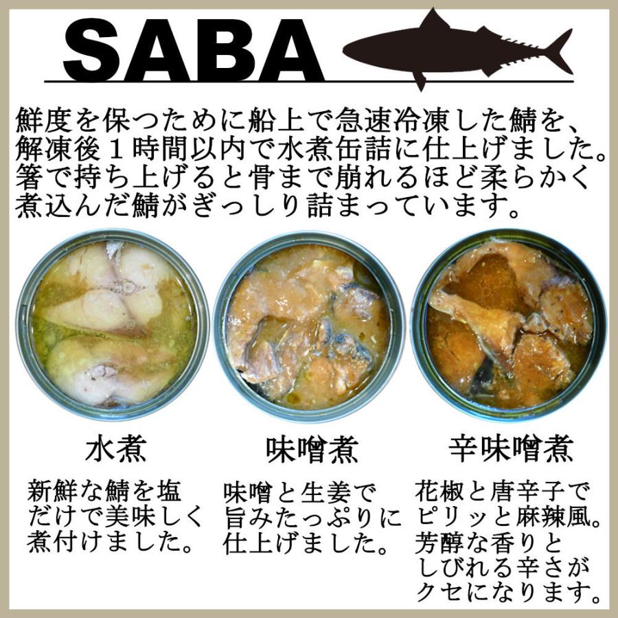 鯖缶  詰め合わせ 200gｘ48缶 （サバ 水煮 味噌煮 イカ味付） まとめ買い  おつまみ 鯖 缶詰 アテ 酒の肴 おつまみセット 送料無料