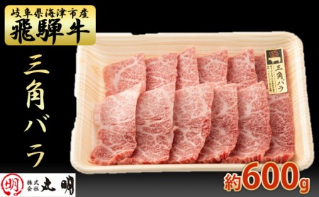 飛騨牛 希少部位 三角バラ 焼肉 セット 600g 牛肉