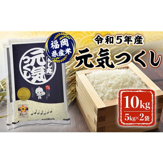 ふるさと納税 福岡県 朝倉市 米 10kg 令和5年産 元気つくし 福岡県産 お米