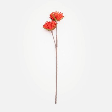 Flora芙蘿拉花插大瓣菊71cm 橘紅