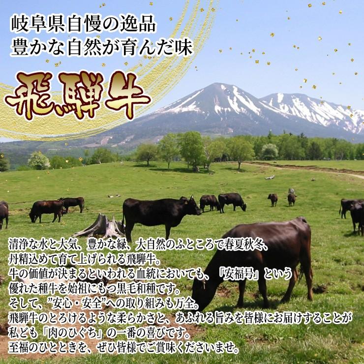 肉 牛肉 ステーキ 和牛 飛騨牛 もも肉 100ｇ×1枚 ソース付き 黒毛和牛 赤身 お取り寄せ グルメ