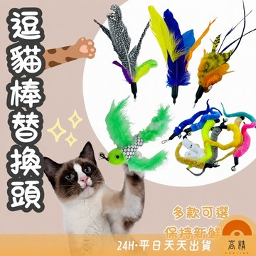 逗貓棒替換頭 逗貓棒 貓玩具 寵物玩具 逗貓杆 三節伸縮 伸縮逗貓棒 逗貓桿 逗貓用品 羽毛飛魚鈴鐺