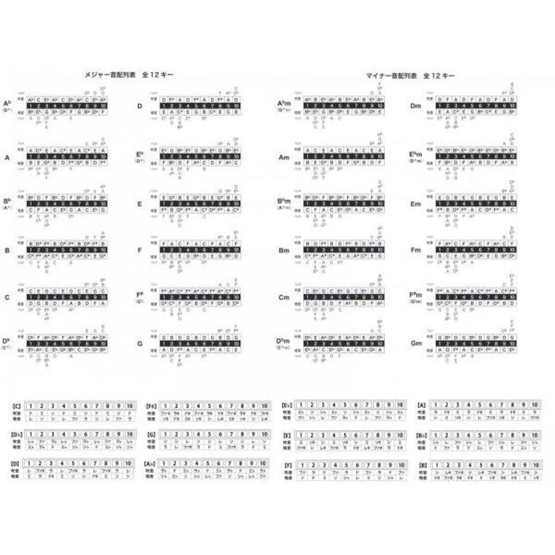 TOMBO(トンボ) 1710 マイナーボーイ Dm 10穴 ブルースハーモニカ